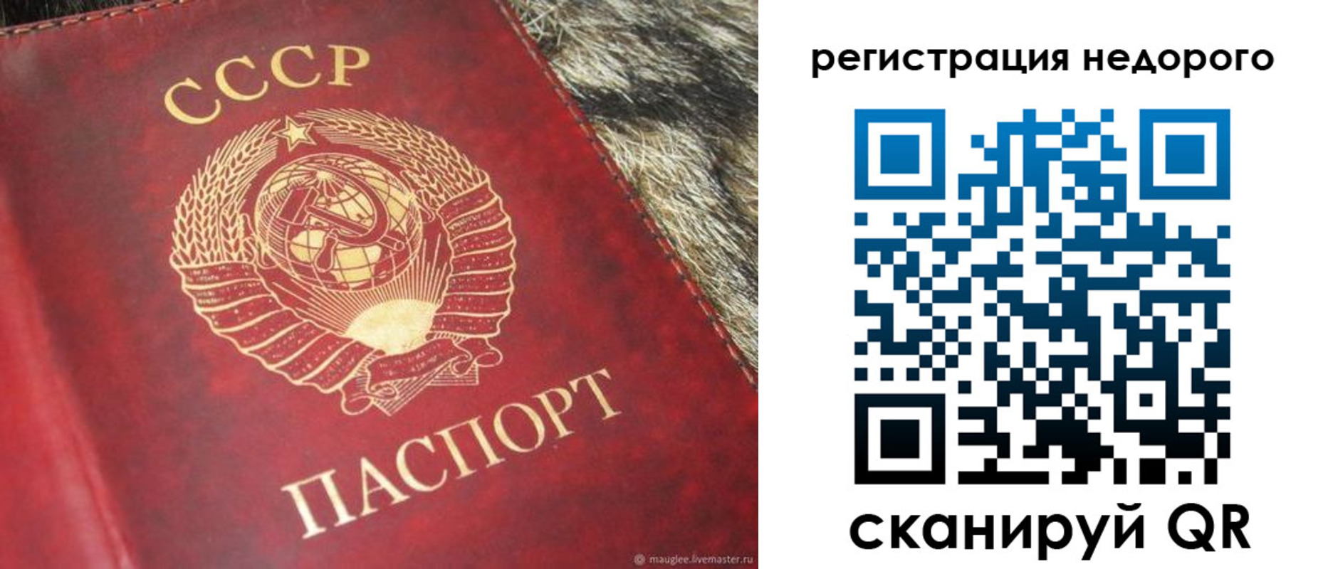 прописка ребенка в Подпорожье